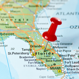 Florida's Rat Problem: Why They're Invading Homes and How to Stop Them