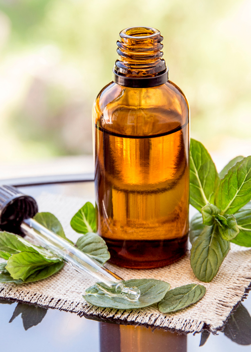 Are there any natural mouse repellents that actually work?