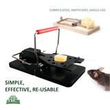A black mouse trap / rodent trap with cheese bait.